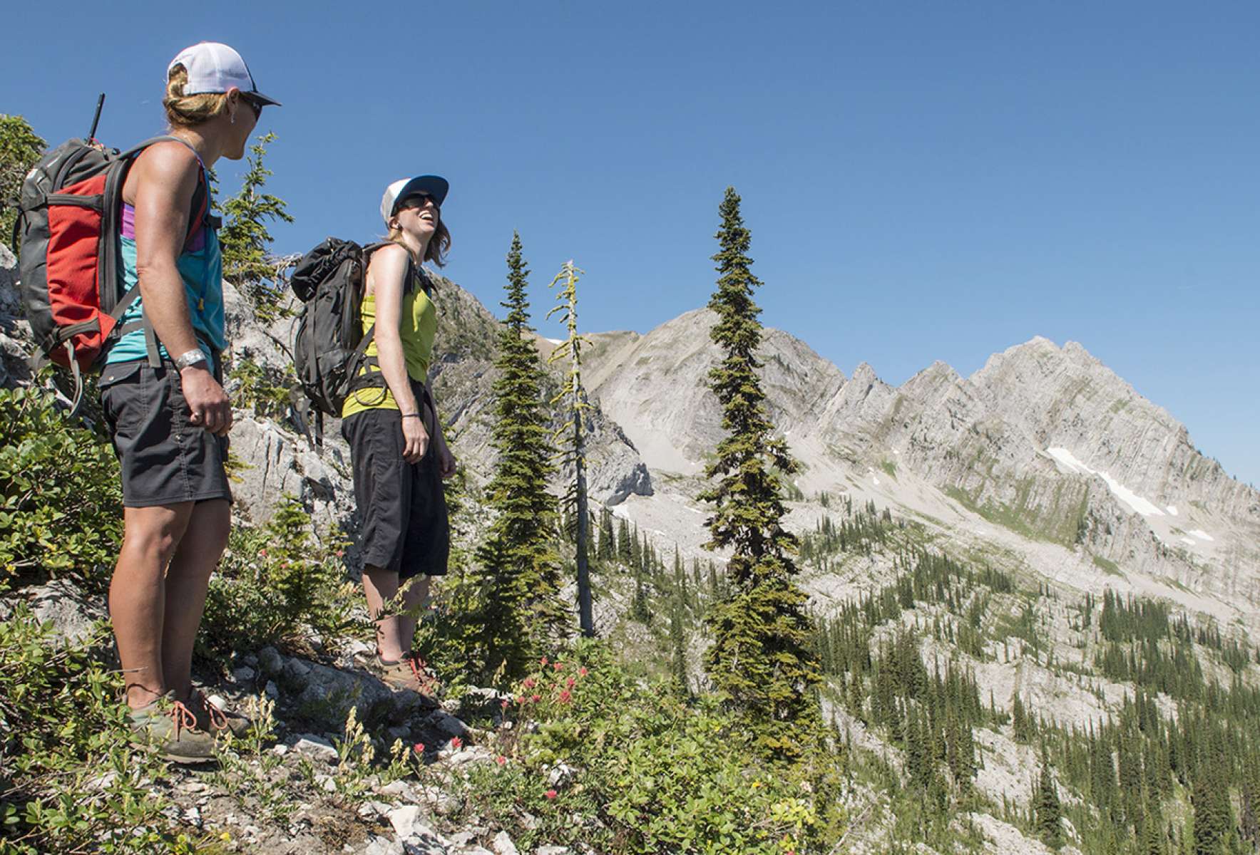 Hikers pausing above Island Lake in summer