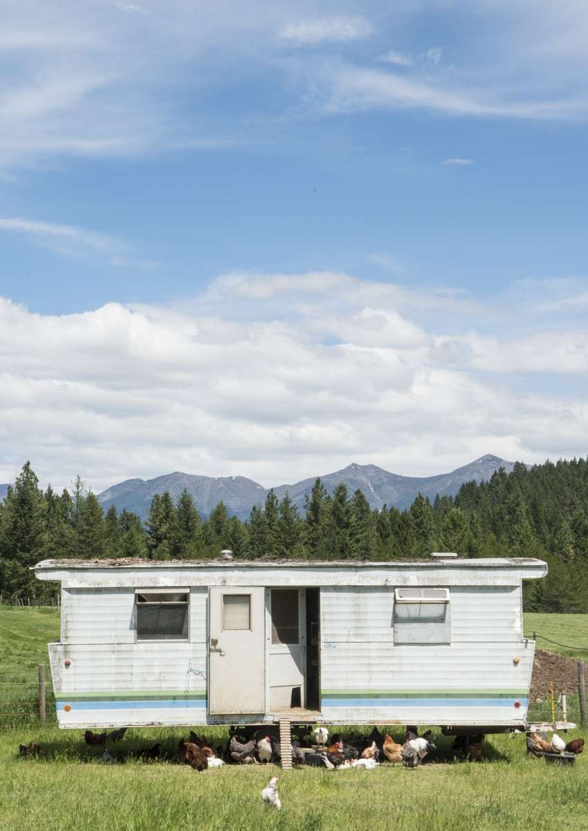 Photograph from The Bolter Farm Burger