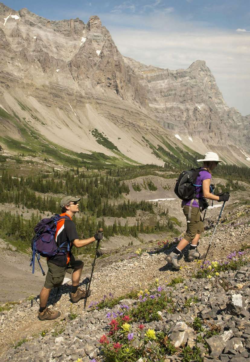 Hikers crossing the alpine on Heiko’s Trail