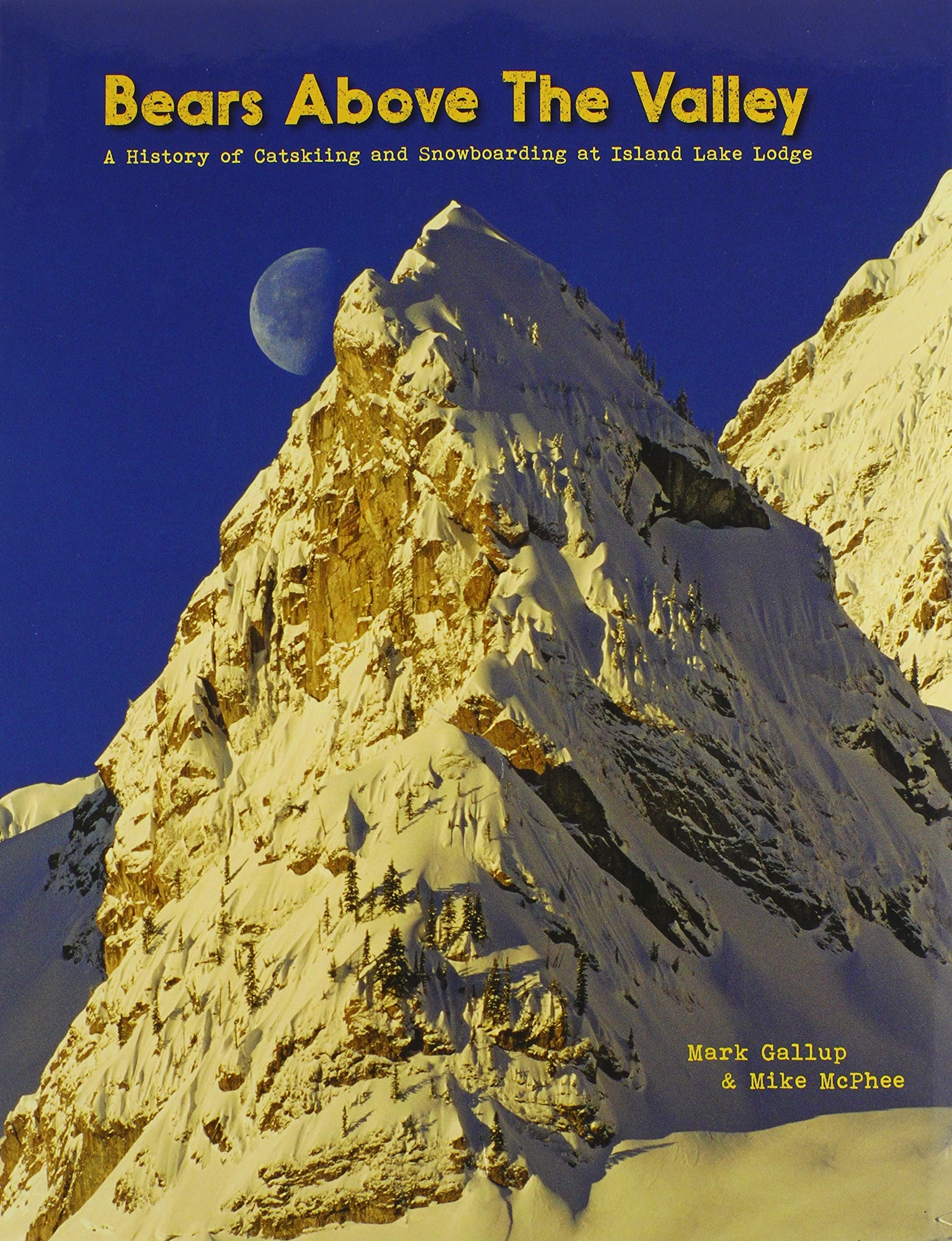 Cover of Bears Above the Valley by Mark Gallup and Mike McPhee