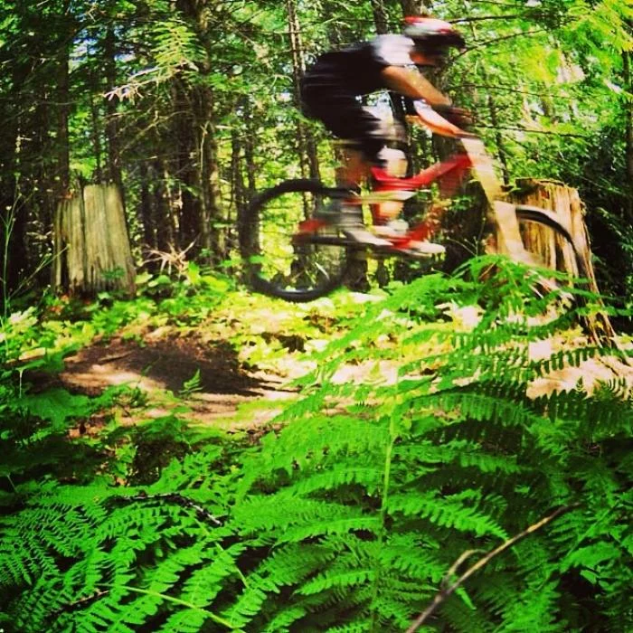 Mountain Biking at Island Lake