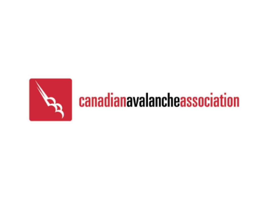 Canadian Avalanche Association logo