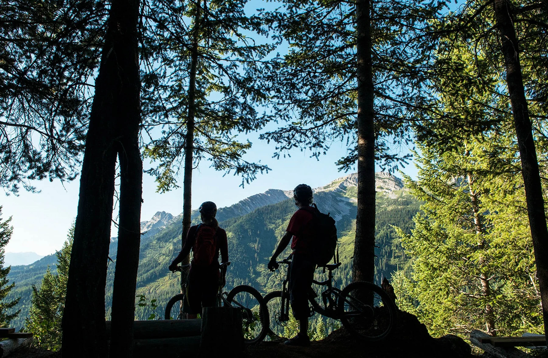Two mountain bikers pause at Lazy Lizard Lookout beneath the trees.