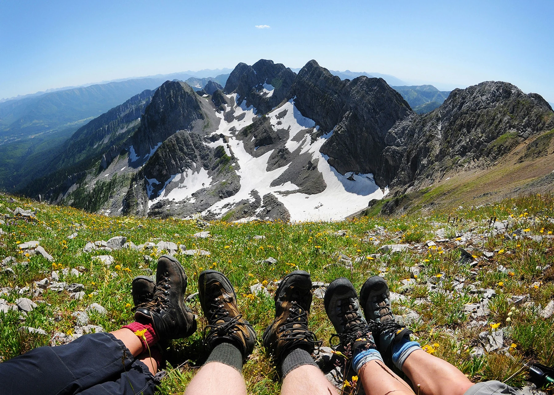 Hikers resting among alpine wildflowers at Big White Summit, with rocky peaks beyond.
