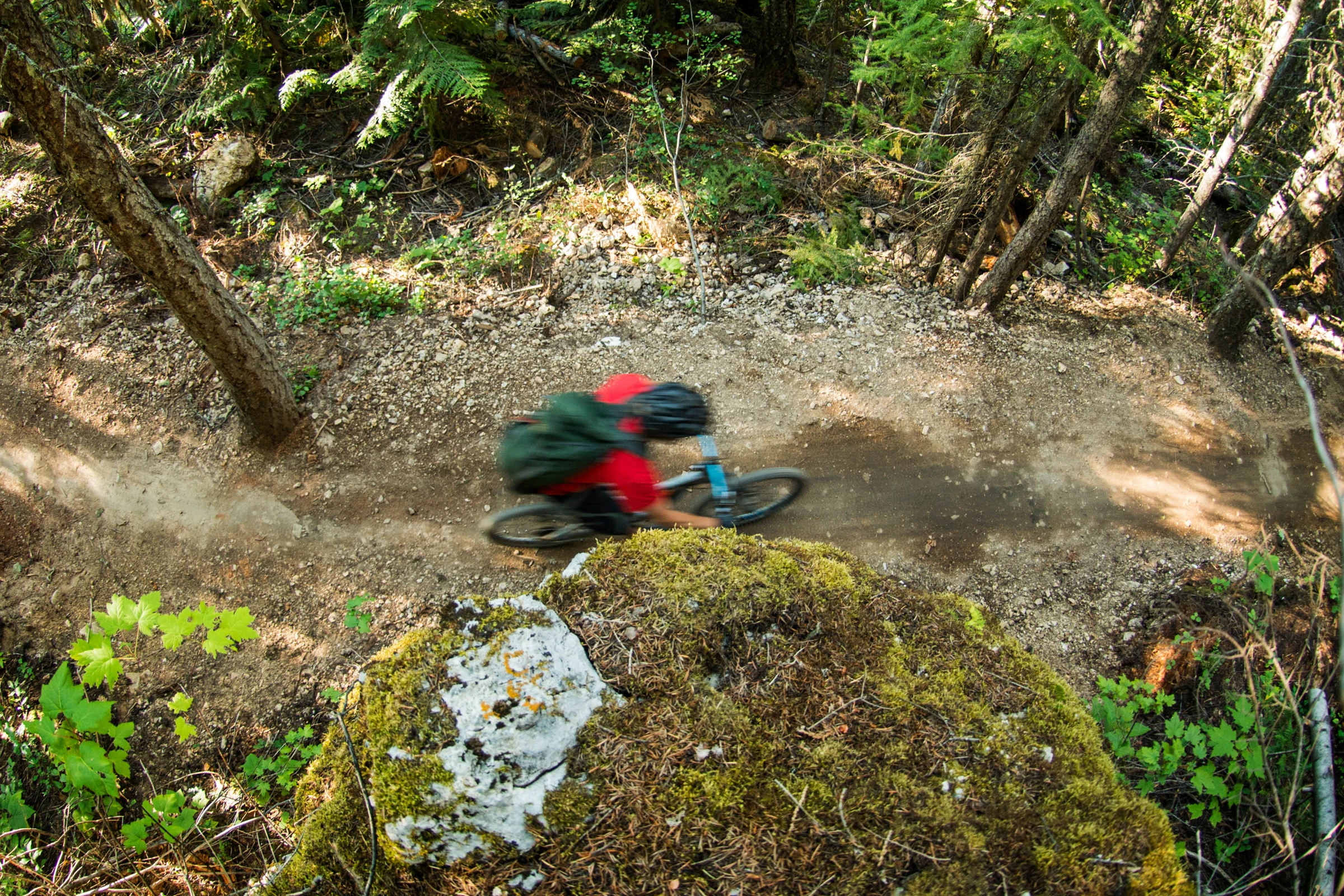 A cyclist riding a forest trail at Island Lake