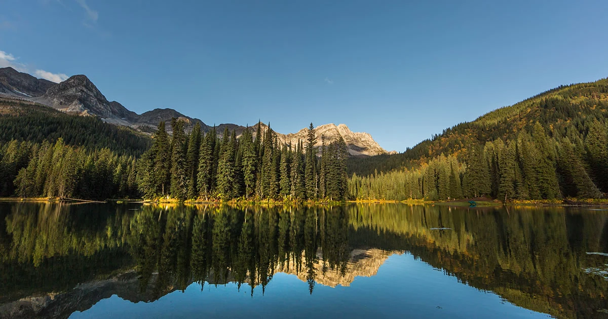 Forest and mountains surrounding Island Lake