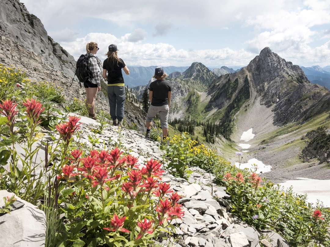Hikers pause among alpine wildflowers above Island Lake in the Lizard Range